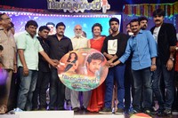 Govindudu Andarivadele Audio Function Photos